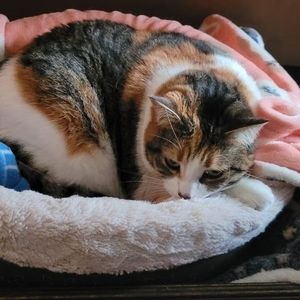 Meet your Posher, Michelle-renée